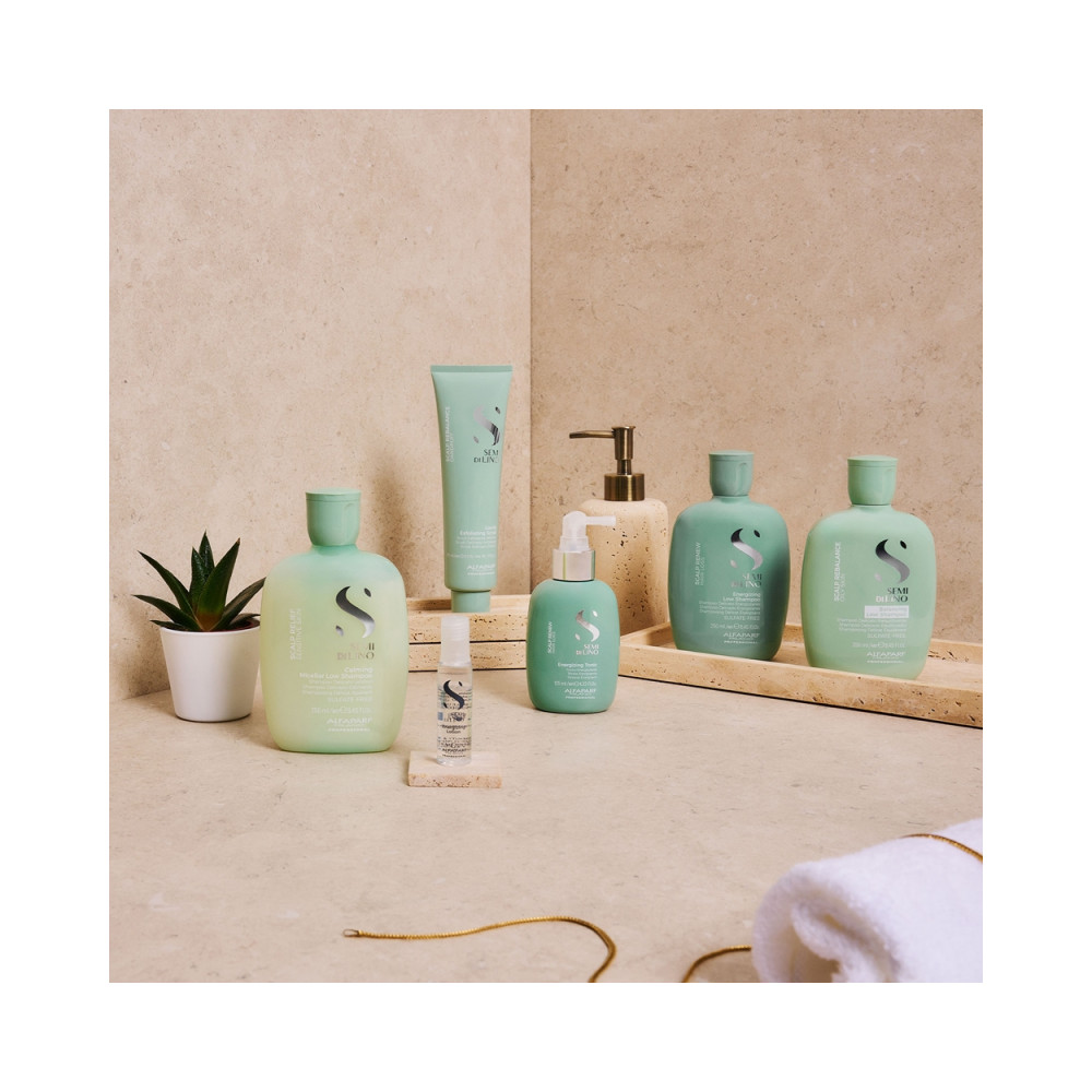 Alfaparf Milano Semi Di Lino Scalp Renew