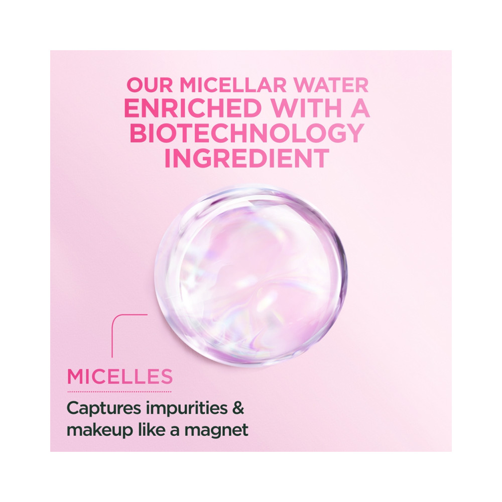 Garnier Skin Naturals